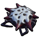 Broodmother Chunk
